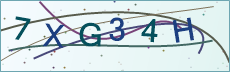 Security verification code